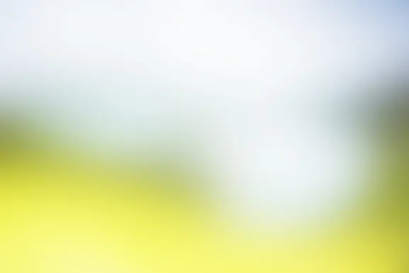 Mint Casino Tacaíocht